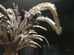 -扫雪煮茶(西村店)