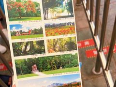 -中国科学院西双版纳热带植物园