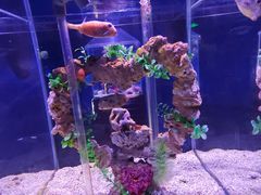 -太平洋海底世界