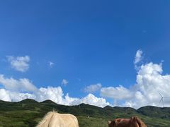 -乌蒙大草原