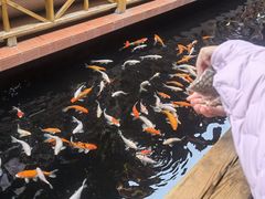 -侠成水上农庄(工业大道店)