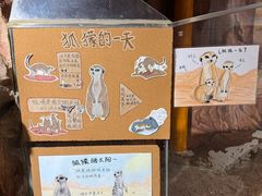 -正佳雨林生态植物园