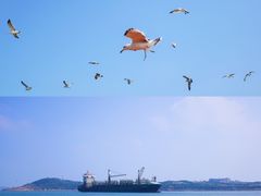 -海驴岛(荣成市)