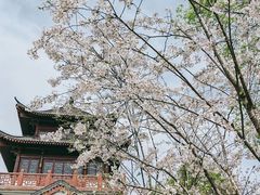 -堤角公园