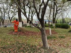 -高东镇樱花园