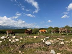 -新疆那拉提国家旅游度假区