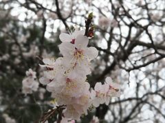 -香山公园