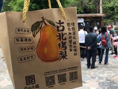 -古北烤梨