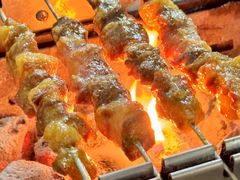 -郭记原生态烤羊腿(长宁路店)