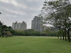 -荔香公园