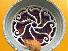 -西园寺素食(西园弄戒幢律寺店)