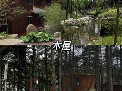 -洛阳白云山景区