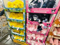 -山姆会员商店(亦庄创意生活广场店)