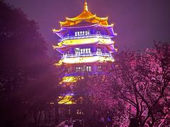 -福神岗公园