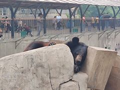 -石家庄市动物园