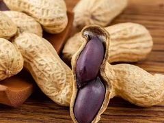 -浙江大学医学院附属第一医院(庆春院区)