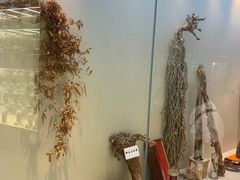 -广东中医药博物馆
