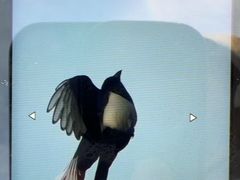 -上海海事大学(临港校区)