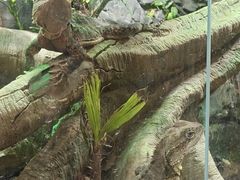 -瑞虹新天地月亮湾