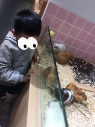 -Moni星球萌宠·小马宝莉·灵蛇·高端高阶全萌宠互动体验俱乐部(红豆国际广场店)