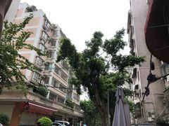 -兴华里茶记(禅城同济首店)