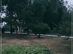 -长春公园(普阳街道)