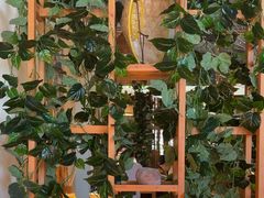 -大众跷脚牛肉馆·非遗传承单位(峨眉山店)