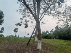 -白鹭湾湿地公园