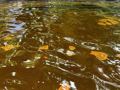 -碧桂园润杨溪谷温泉酒店