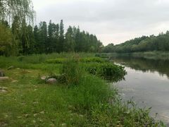 android_upload_pic-新江湾城公园