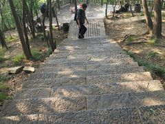 -紫金山天文台