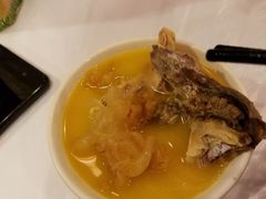 -鲜入围煮花胶鸡海鲜火锅