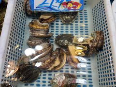 -旺角小渔村·海肠捞饭开创者(环山路店)