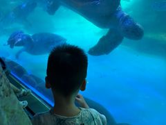 -海合安成都极地海洋公园