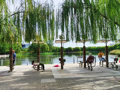 -大兴滨河森林公园