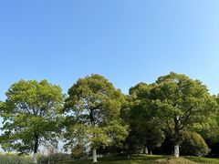 -艾溪湖湿地公园