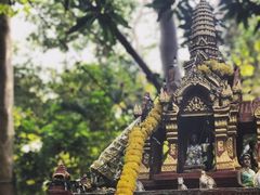 -卷心菜和避孕套餐厅(Pattaya)