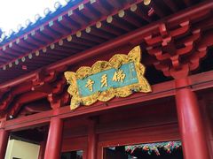 -新加坡佛牙寺龙华院