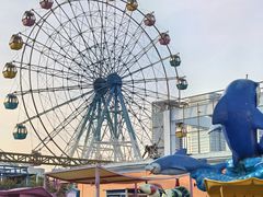 -巨鹏飞梦幻海岸