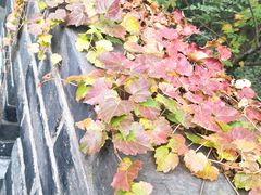 -虞山城墙