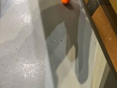 -不可思议减压馆·解压博物馆·摔碗发泄·团建定制