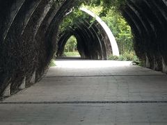 -天津东丽湖风景区