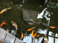 景点-上海大自然野生昆虫馆