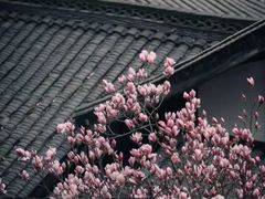 -塔子山公园