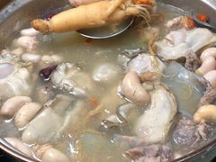 -千岛蚝高压锅生蚝·人参火锅(白云万达店)