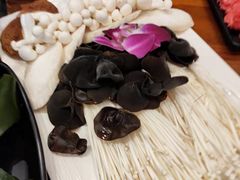 -八宝牛潮汕鲜牛肉火锅(净月店)