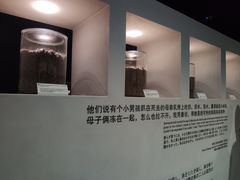 -侵华日军南京大屠杀遇难同胞纪念馆