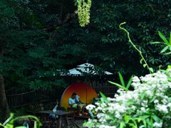 -北仑森林植物园