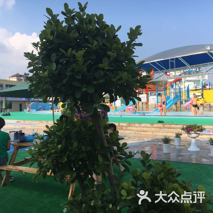 沈坚强游泳俱乐部