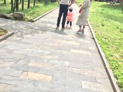 -东湖落雁景区